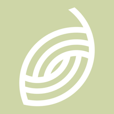 MedhelixIR SA BRAND IDENTITY